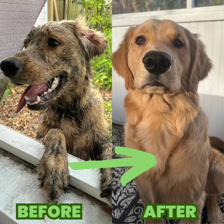 8-in-1 Portable Dog Wash & Grooming Kit